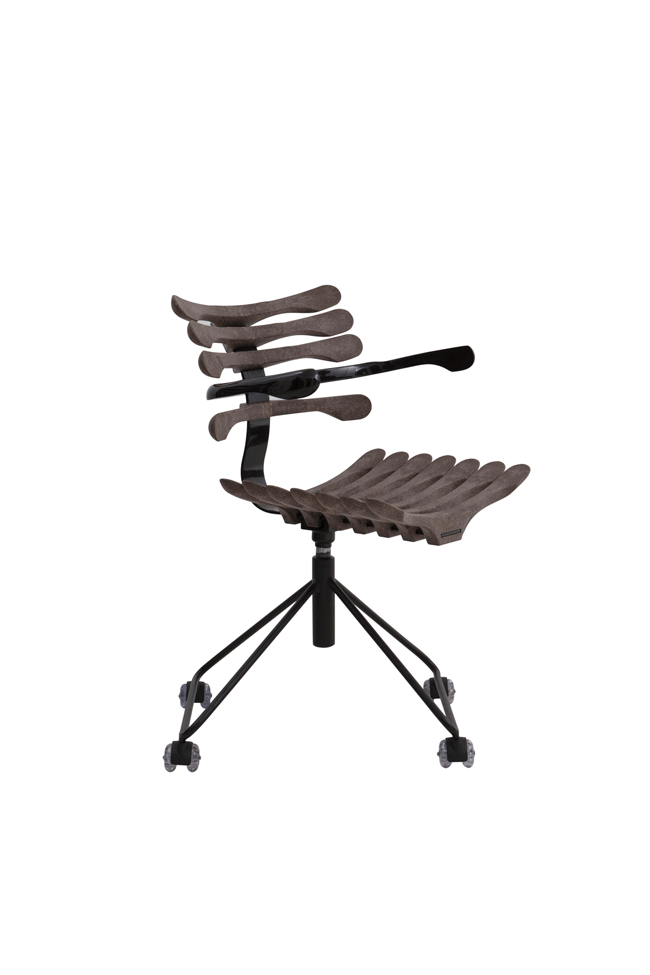[Art gallery] CADEIRA ESQUELETO ASAHI 스켈레톤 아사히 for Office