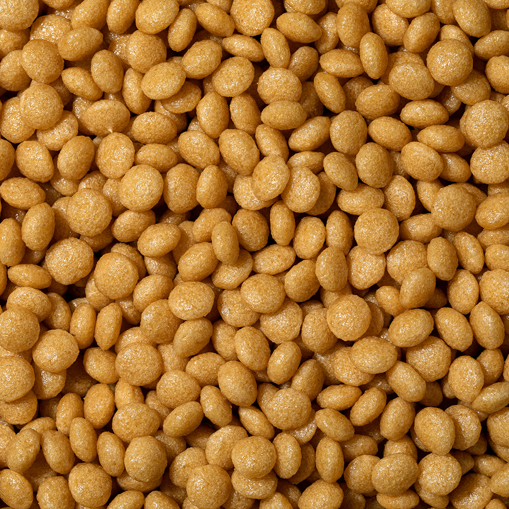 다이어트 그래잇빌리 4.2kg